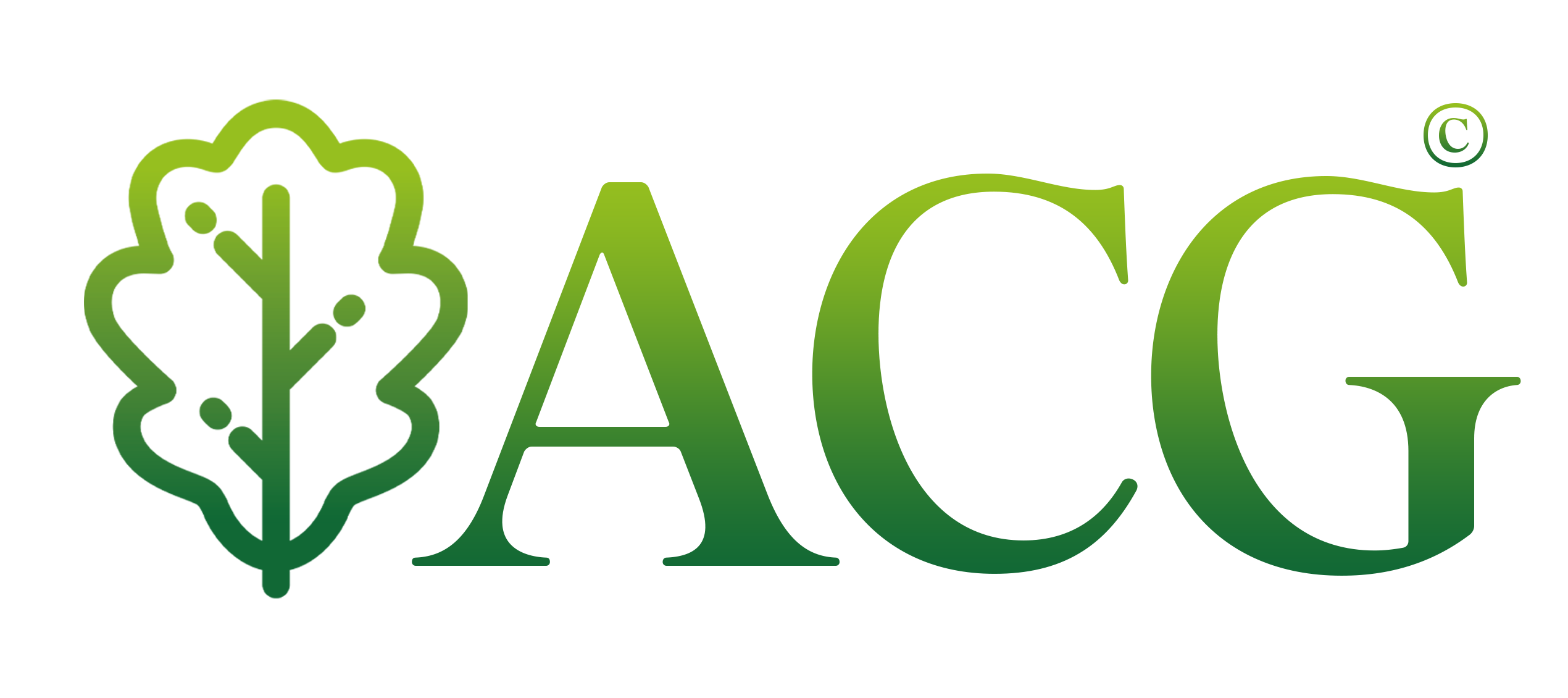 Alliance Capital Groupe (ACG) | Expertos en Financiación e Inversión desde 1990